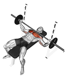 Barbell Wide Bench Press