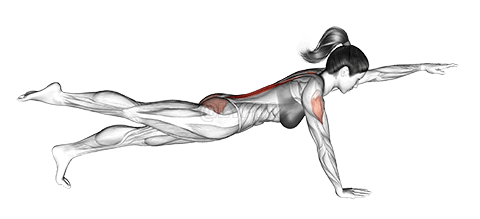 Thumbnail for the video of exercise: पक्षिकुक्कुरः