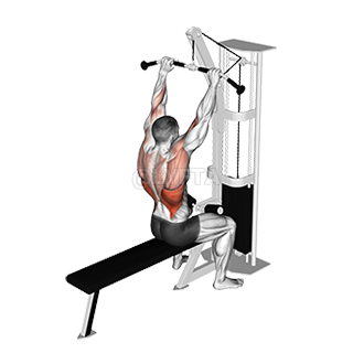 Cable Bar Lateral Pulldown