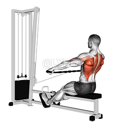 Cable Seated Wide-grip Row