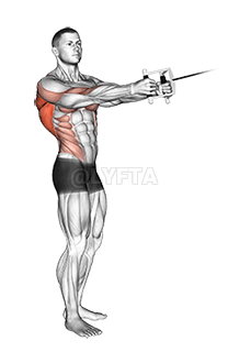 Thumbnail for the video of exercise: የኬብል ቋሚ ጠማማ ረድፍ