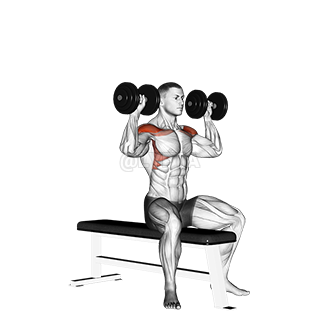 Bench Seated Press