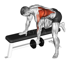 Dumbbell One Arm Bent-over Row