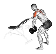 Dumbbell One Arm Reverse Fly 