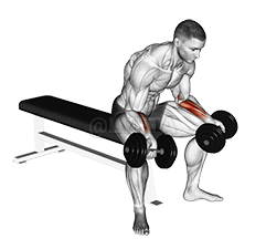 Seated Palms Up Wrist Curl
