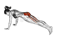 Hip Extension Stretch
