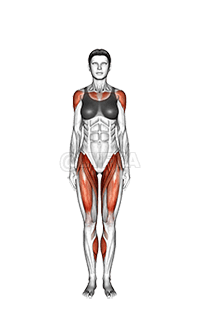 Saltando Jack demonstration