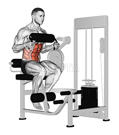 Lever Seated Crunch 