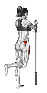 Standing Hip Abduction 