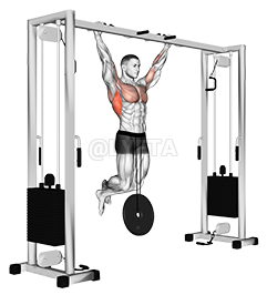 Weighted Pull-Up