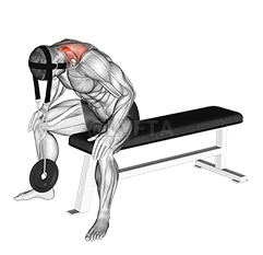 Seated Neck Extension