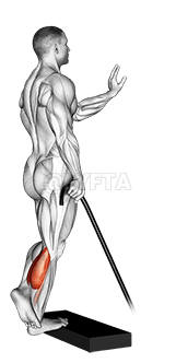 Thumbnail for the video of exercise: Band single leg calf raise