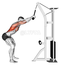 Cable Standing Lat Pushdown 