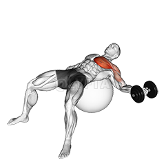 Dumbbell One Arm Chest Fly on Exercise Ball