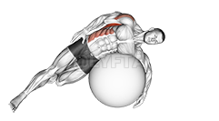 Exercise Ball Lying Side Lat Stretch