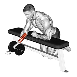 Over Bench One Arm Reverse Wrist Curl