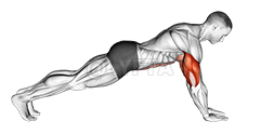 Push-up on Forearms