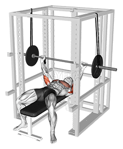 Barbell Reverse Band Bench Press demonstration