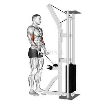 드래그 컬 demonstration