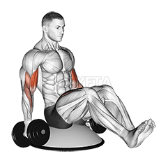 Thumbnail for the video of exercise: Dumbbell Biceps Curl V Sit on Bosu Ball