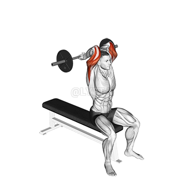 Seated Close grip Behind Neck Triceps Extension