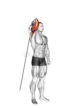 Cable Standing Reverse Grip One Arm Overhead Tricep Extension