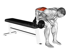 Gantera așezată îndoită peste extensia tricepsului