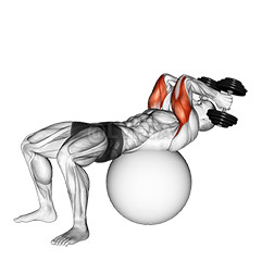 Extensie triceps cu minge de exercițiu