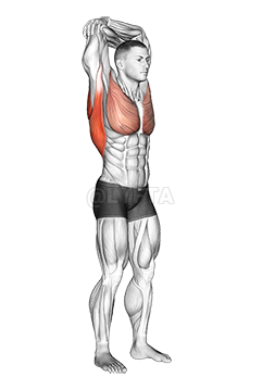 Standing reach up back rotation stretch