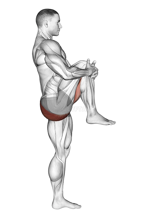 Standing Knee To Chest Stretch - Video Guide