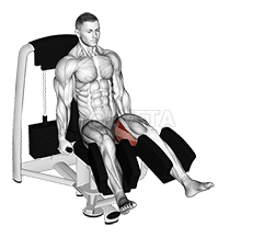 Thumbnail for the video of exercise: ሌቨር ተቀምጦ ሂፕ ጠለፋ