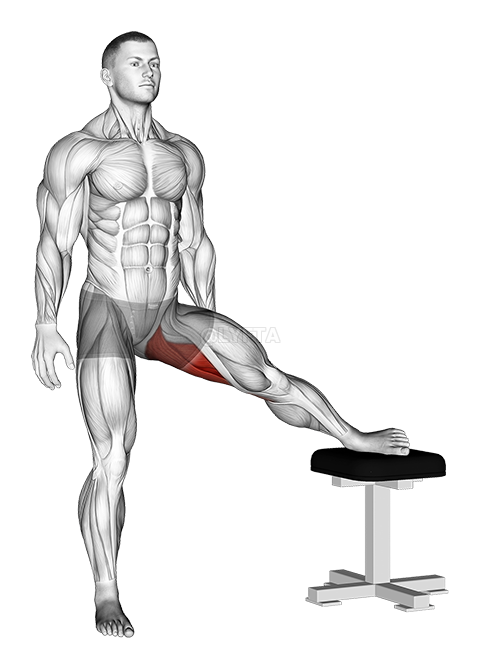 Standing Leg Up Adductor Stretch - Video Guide