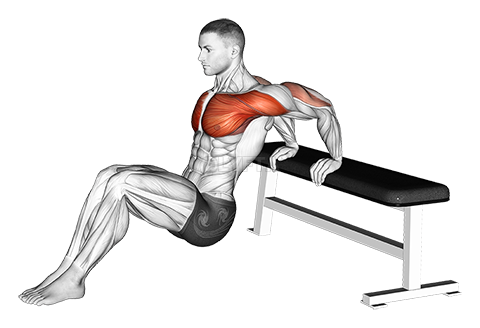 Sitting Shoulders Stretch On Bench