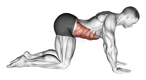 गाय का खिंचाव demonstration