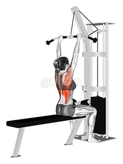 Cable Bar Lateral Pulldown 