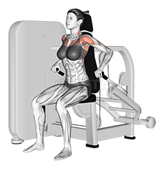 Lever Seated Dip 