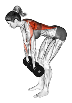 Dumbbell Pronated to Neutral Grip Row 