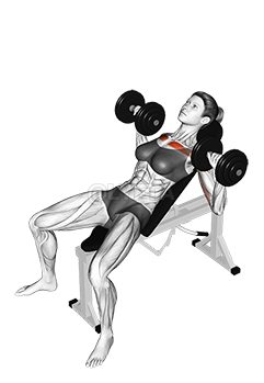 Dumbbell Incline Bench Press 