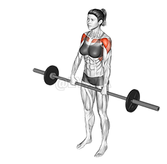 Barbell Front Raise 