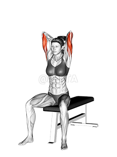 Dumbbell Seated Triceps Extension 