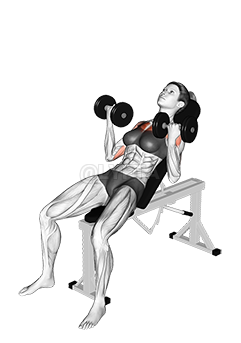 Dumbbell Incline Palm in Press