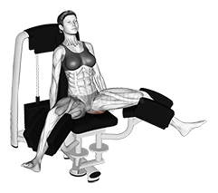Lever Seated Hip Adduction 