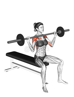 Barbell Seated Overhead Press 
