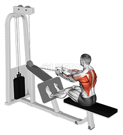 Cable Seated Row with V bar