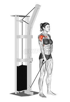 Cable One Arm Front Raise 