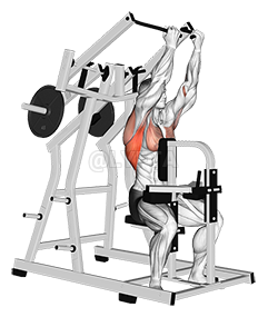 Lever Reverse grip Lateral Pulldown 