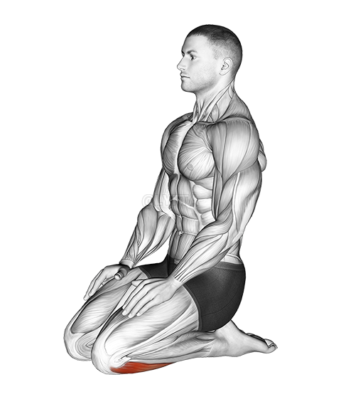 Seated Ankle Stretch