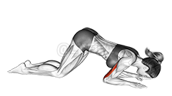 Bodyweight Kneeling Triceps Extension 