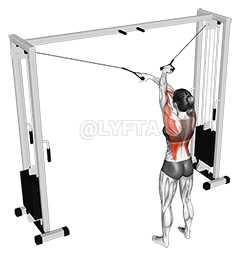 Cable Cross over Lateral Pulldown 