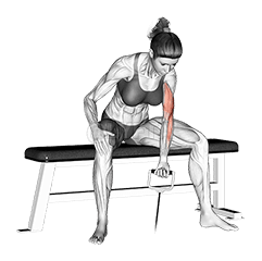 Thumbnail for the video of exercise: ਕੇਬਲ ਬੈਠੀ ਇਕ ਬਾਂਹ ਦੀ ਇਕਾਗਰਤਾ ਕਰਲ